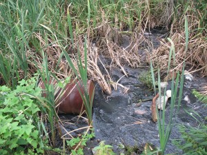 Зловонная река. В Сарапуле долгие годы канализационные стоки целого микрорайона отравляют Каму